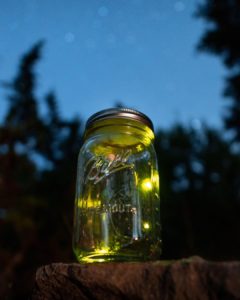 Fireflies in Jar by Joshua McGrath