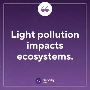 How Does Light Pollution Affect the Environment in Texas?