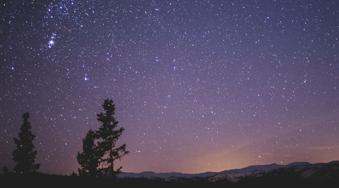 a clear night sky with stars and a tree