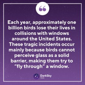 This Migration Season, Protect Our Feathered Friends from Window Strikes