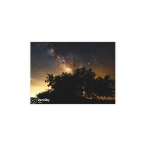 Postcard Tree Galaxy