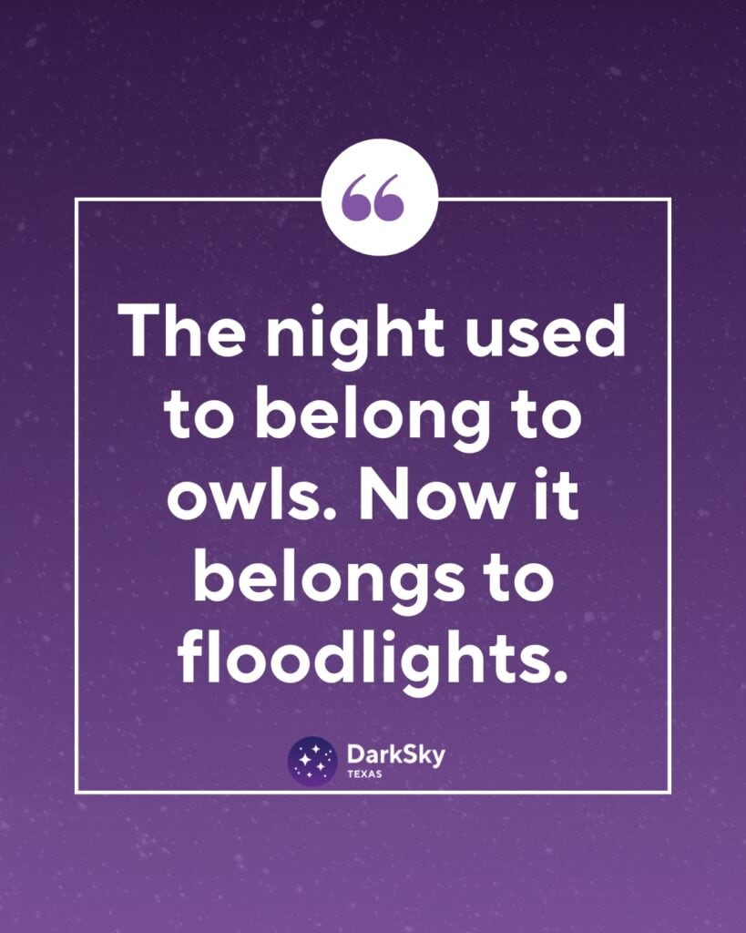 When the Night is Lit: How Artificial Light at Night (ALAN) is Affecting Nocturnal Birds - Internal Image