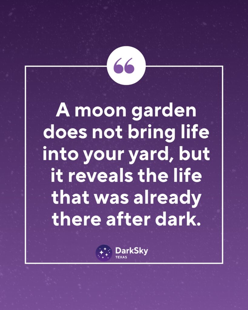 Nocturnal Gardens & Moon Gardens - Internal Image